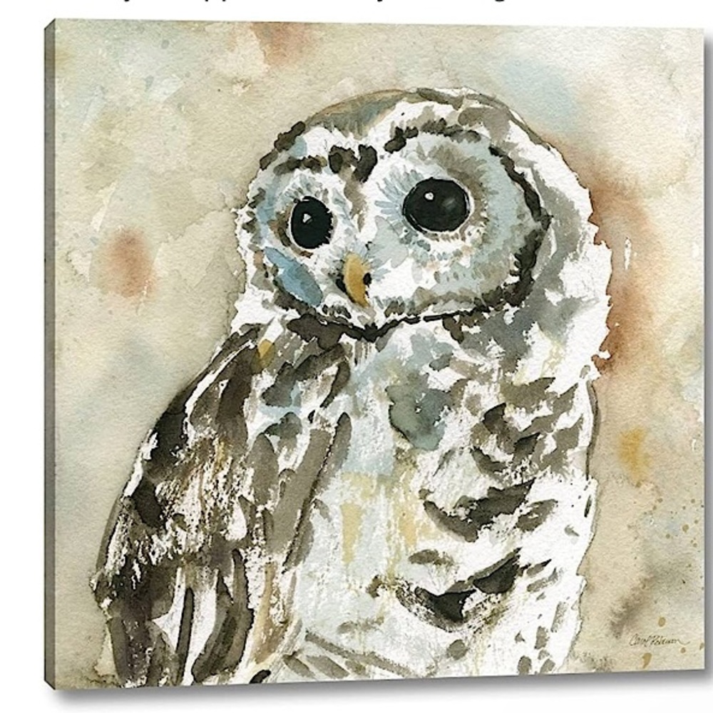 Wrapped Olivia Owl Art | Carol Robinson | 30 * 30